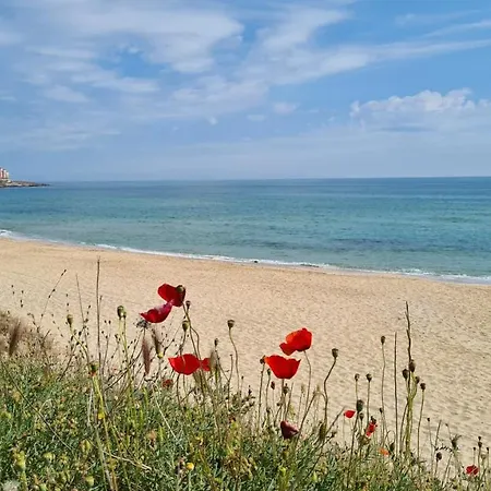 Flora Gæstehus Sozopol