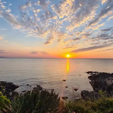 Flora בית הארחה