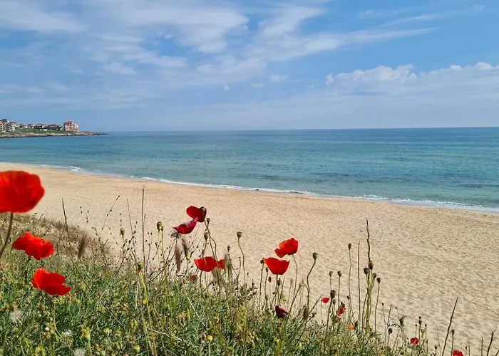 Flora 招待所 索佐波尔